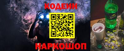 индика Можайск